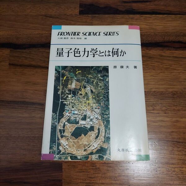 量子色力学とは何か (フロンティア・サイエンス・シリーズ 10)