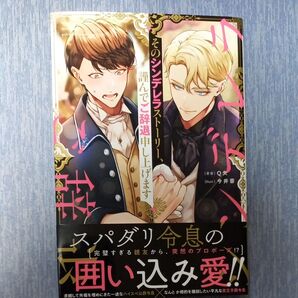 そのシンデレラストーリー、謹んでご辞退申し上げます (&arche NOVELS) Q矢/著