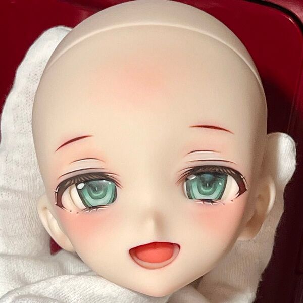 DDH-10 カスタムヘッド セミホワイト MDDなどに ドルフィードリーム