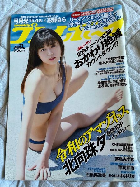 週刊プレイボーイ2019年NO.21号 表紙&巻頭グラビア 北向珠夕 中井りか 茅島みずき 郡司芹香 石橋菜津美 忍野さら