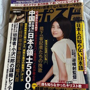 週刊ポスト2012年6月15日号 表紙 三根梓 雛形あきこグラビア 日本人の知らない日本語 中国が極秘に買収した日本の領土5千坪