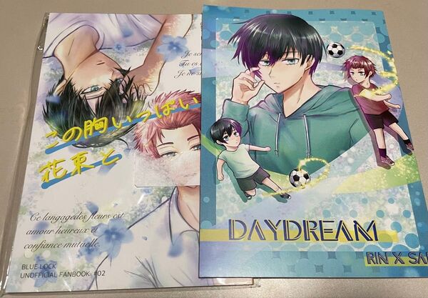 ブルーロック同人誌 糸師凛×糸師冴 凛冴 この胸いっぱちの花束と/DAYDREAM カナン