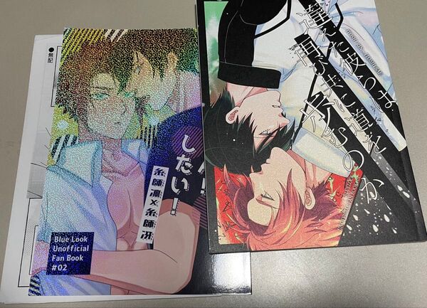 ブルーロック同人誌 糸師凛×糸師冴 凛冴 違えた彼らは再び共に道を歩むのか/兄ちゃん!したい! 藤野冬美
