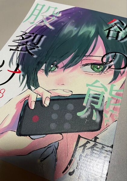 ブルーロック同人誌 糸師凛×糸師冴 凛冴 欲の熊鷹股裂ける ヨ