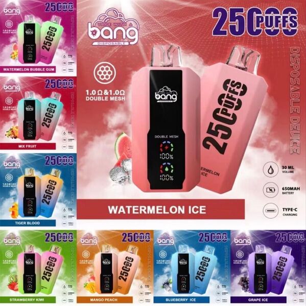 電子タバコ 25000PUFFS にこぱふ