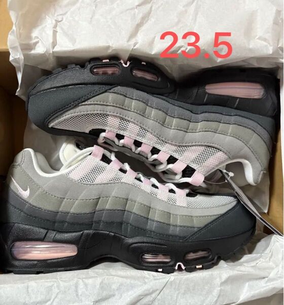 Air Max 95 OG 2025 pink