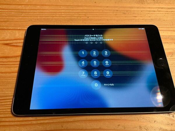 iPad mini 第4世代 cellular セルラー 128GB SIMフリー 訳あり