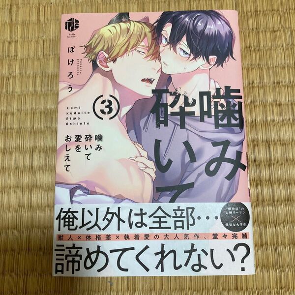 噛み砕いて愛をおしえて 3/ぽけろう