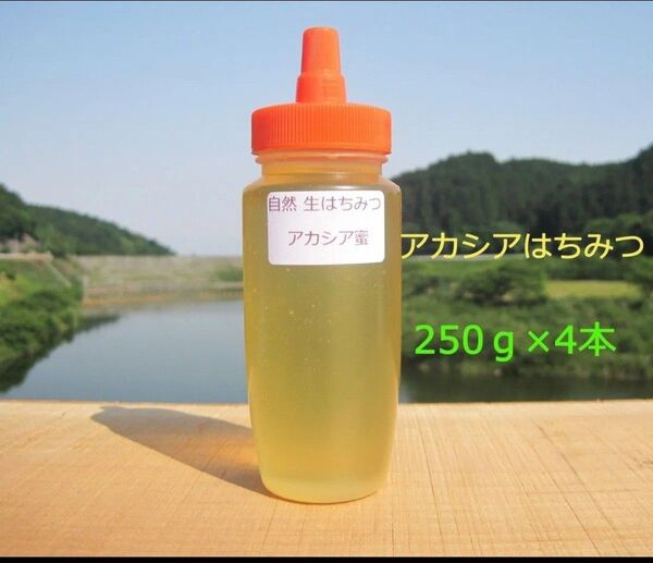 国産アカシア蜜250g×4本