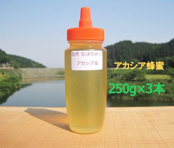 国産アカシア蜂蜜250g×3本