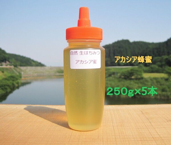 国産アカシア蜂蜜250g×5本