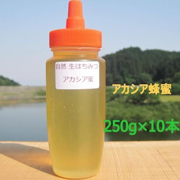 国産アカシア蜜250g×10本