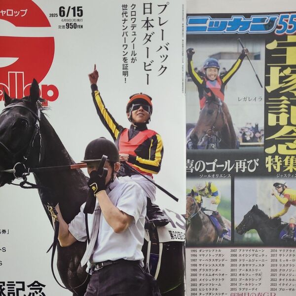 匿名!送料無料!競馬、ギャロップ、2025年6月15日 日刊特別号宝塚記念2つセット