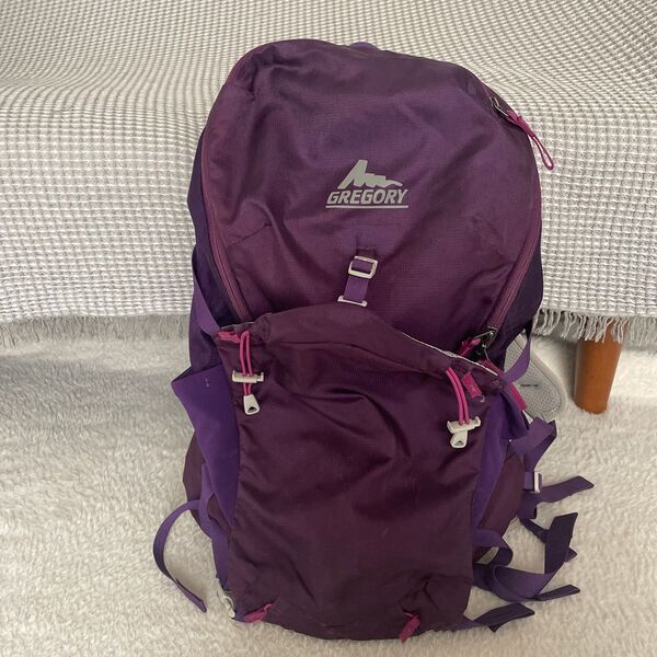 グレゴリー 登山 リュック レインカバー付き パープル GREGORY