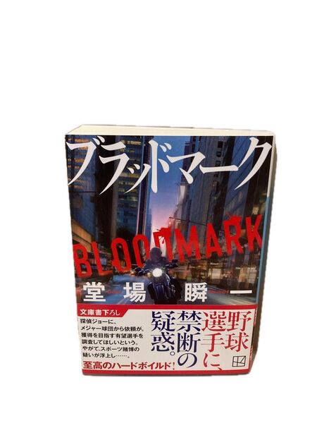 ブラッドマーク (講談社文庫 と55-25) 堂場瞬一/著
