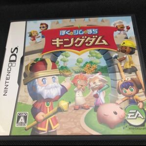 【DS】ぼくとシムのまち キングダム