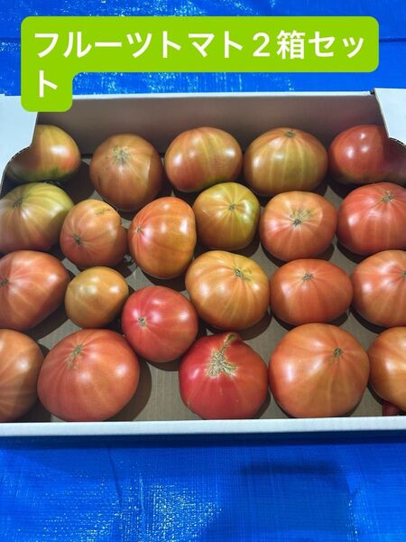 特別価格!!北海道下川町 フルーツトマト ハネ品 1箱20個から24個が2箱セット