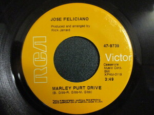 Jose Feliciano ： Maley Purt Drive 7'' / 45s ★ AOR ☆ c/w Old Turkey Buzzard // シングル盤 / EP / 落札5点で送料無料