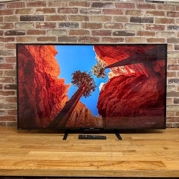 シャープ 50インチ 4K チューナー内蔵 液晶テレビ AQUOS 4T-C50BH1 外付けHDD 裏番組録画対応 2020年製