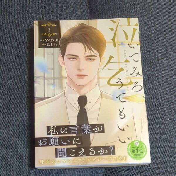 泣いてみろ、乞うてもいい 2 (フロースコミック) VAN JI/漫画 Solche/原作 LINEマンガ/〔日本語訳〕