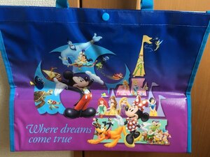 東京ディズニーリゾート　ショッピングバッグ　ミッキーマウス　ミニーマウス　新品　未使用品