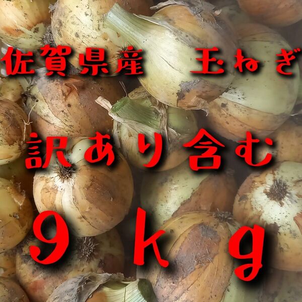 訳あり含む 佐賀県産玉ねぎ 9kg