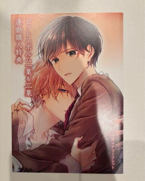 ピットスポルム 一葉&二葉 連動購入特典アニメイト限定4Pリーフレット 三上志乃