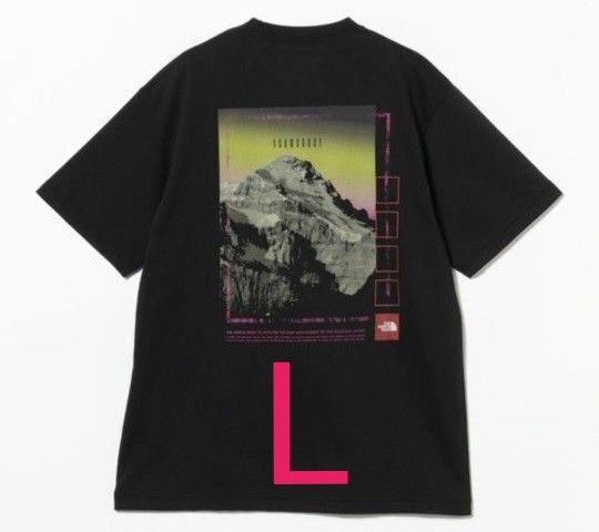 THE NORTH FACE ノースフェイス フラッシュドライ セブンサミット グラフィック Tシャツ Lサイズ