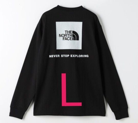 THE NORTH FACE/ザ・ノース・フェイス バックプリントロンT Lサイズ
