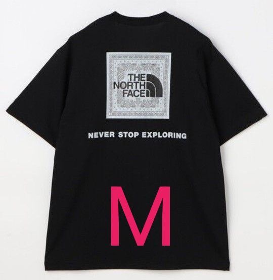 THE NORTH FACE ノースフェイス バンダナ スクエア ロゴ Tシャツ Мサイズ
