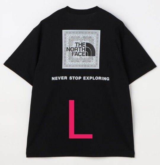 THE NORTH FACE ノースフェイス バンダナ スクエア ロゴ Tシャツ Lサイズ
