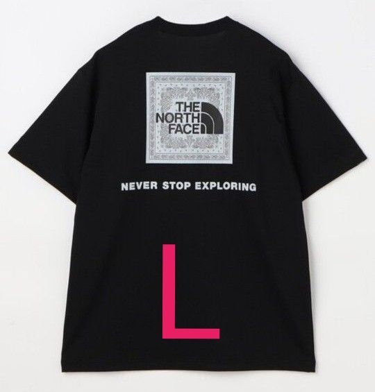 THE NORTH FACE ノースフェイス バンダナ スクエア ロゴ Tシャツ Lサイズ