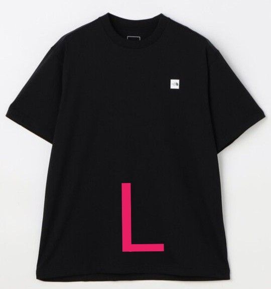 THE NORTH FACE ノースフェイス ヌプシ ショートスリーブ ボックスロゴ Tシャツ Lサイズ