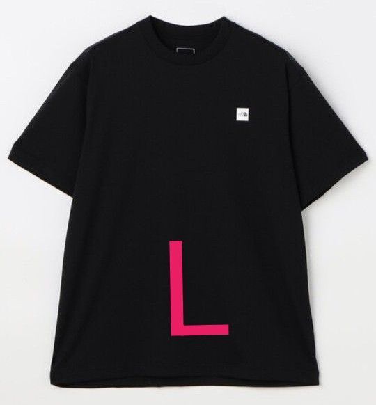 THE NORTH FACE ノースフェイス ヌプシ ショートスリーブ ボックスロゴ Tシャツ Lサイズ