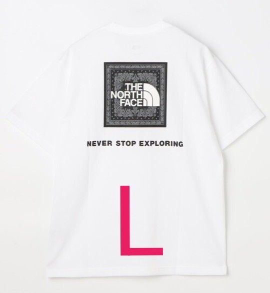 THE NORTH FACE ノースフェイス バンダナ スクエア ロゴ Tシャツ Lサイズ
