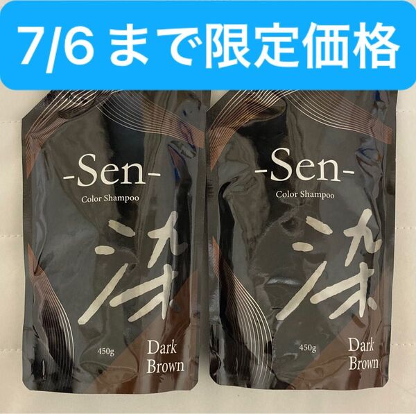 ピコモンテSen染 カラーシャンプー ダークブラウン 450g x 2パック ①
