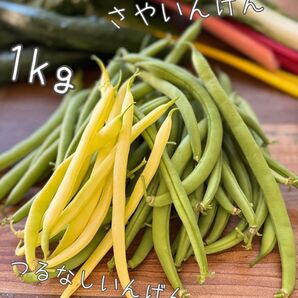 農薬不使用 さやいんげん インゲン いんげん豆 つるなしいんげん 1kg