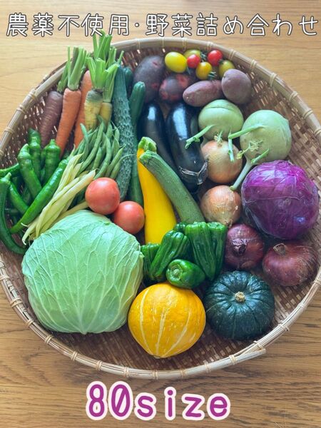 農薬不使用 野菜セット 野菜詰め合わせ 80size