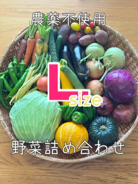 農薬不使用 野菜詰め合わせ 野菜セット L size