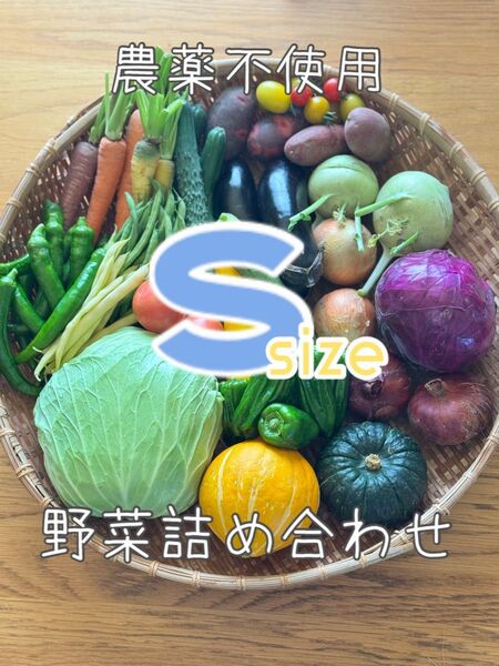 農薬不使用 野菜セット 野菜詰め合わせ S size