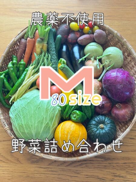 M size 農薬不使用 野菜セット 野菜詰め合わせ