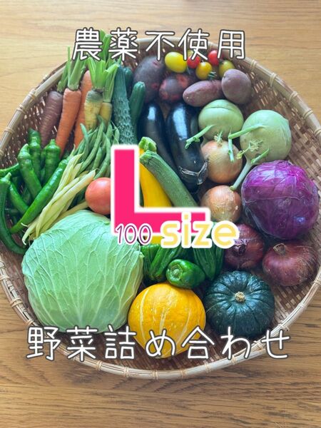 L size 農薬不使用 野菜詰め合わせ 野菜セット