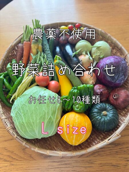 L size 農薬不使用 野菜詰め合わせ 野菜セット