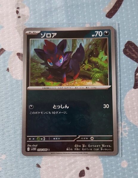 ポケモンカード ホワイトフレア ゾロアマスボミラー
