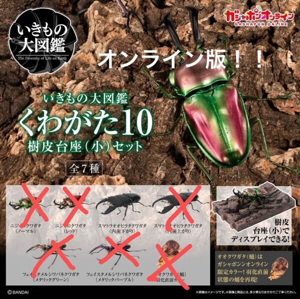 ガシャポンオンライン版 いきもの大図鑑 くわがた10 3.スマトラオオヒラタクワガタ(内歯下がり)