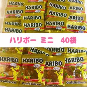 ハリボー グミ ゴールドベア ミニサイズ 40袋 HARIBO