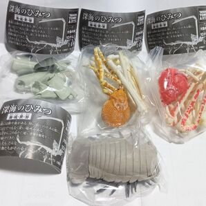 深海のひみつ 海・底・世・界 全4種セットコンプ あそべる生物フィギュアシリーズ タカアシガニ ラブカ ダイオウグソクムシ ガチャ