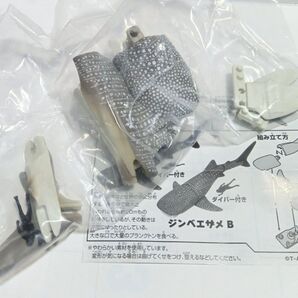 未使用! あそべる生物シリーズ ザ・シャーク ジンベエザメ B ダイバー付き 完成時 全長約16cm ジンベエザメ フィギュア