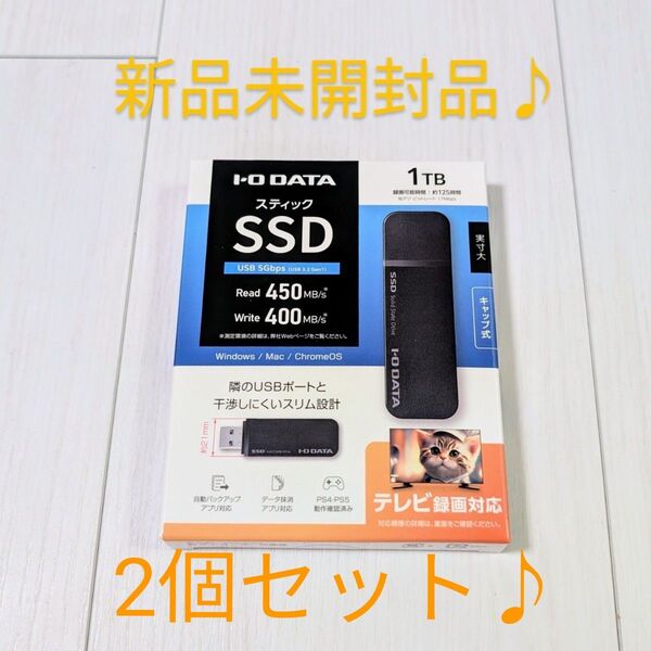 新品未開封品 2個セット SSPK-UT1 外付けSSD スティック