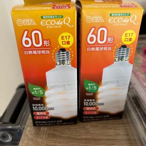 OHM エコデンキュウ 60形 E17 2個セット